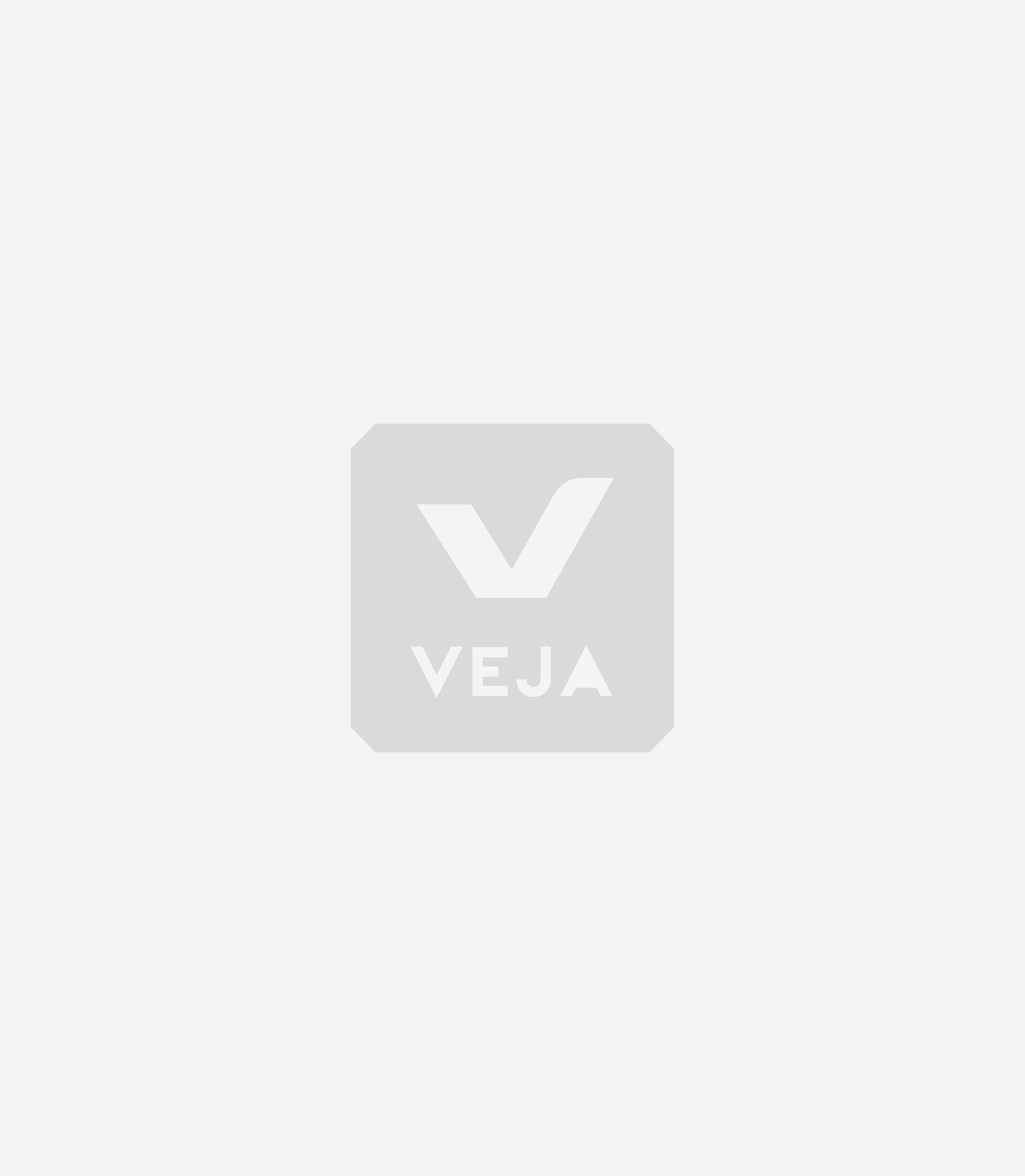 sneaker brand with v logo